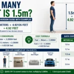 How Many Feet Is 1.5m