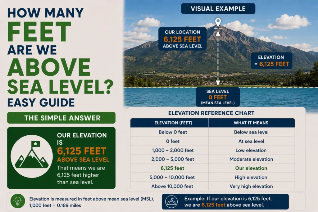 How Many Feet Are We Above Sea Level? Easy Guide