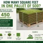 how many square feet in one pallet of sod