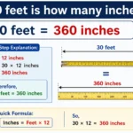 30 feet is how many inches