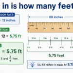69 in is how many feet