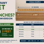 How Many Feet Are 24 Inches? Easy Conversion Guide