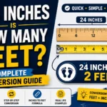 24 Inches Is How Many Feet