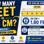 How Many Feet Is 55 cm