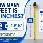 How Many Feet Is 59 Inches