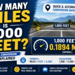 How Many Miles Is 1,000 Feet