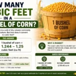 how many cubic feet in a bushel of corn