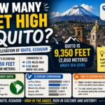 how many feet high is quito