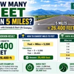 ow many feet are in 5 mi