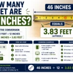 How Many Feet Are 46 Inches