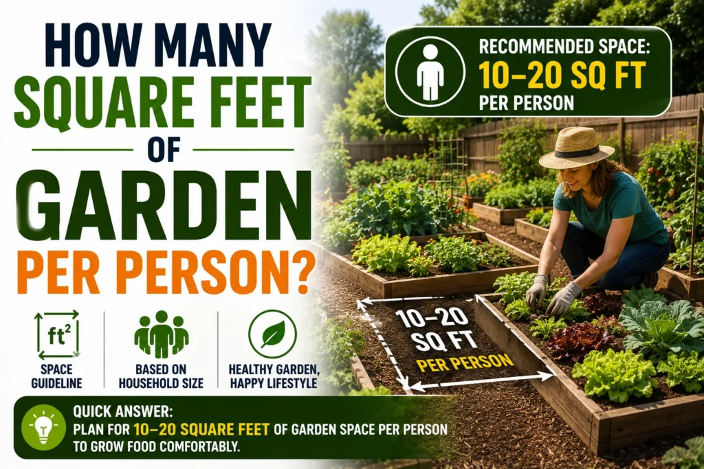 How Many Square Feet of Garden Per Person