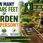 How Many Square Feet of Garden Per Person