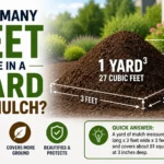 how many feet are in a yard of mulch